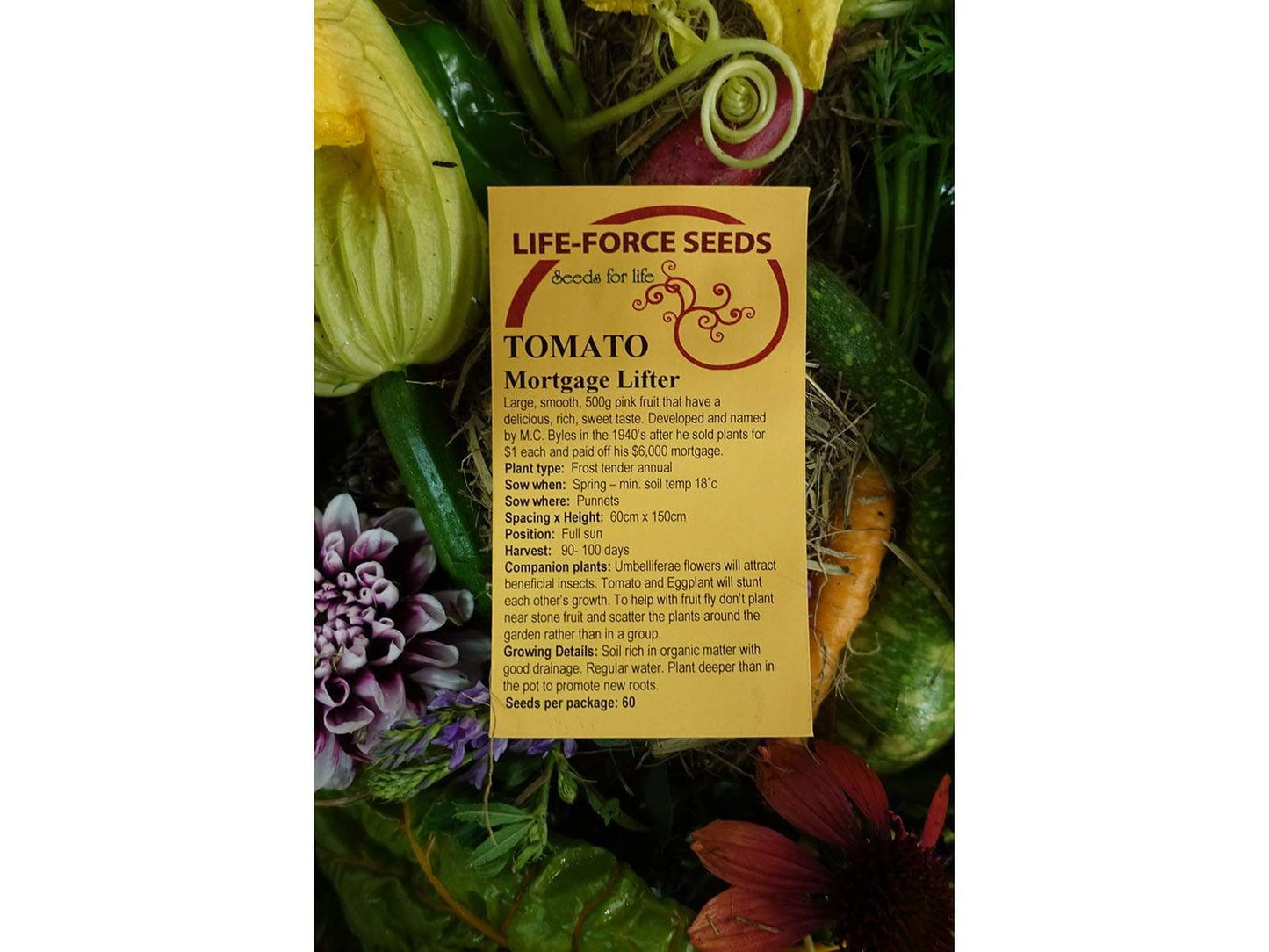 Tomato, Mortgage Lifter - LifeForce Seeds