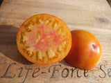 Tomato, Pineapple - LifeForce Seeds