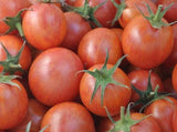 Tomato, Pink Bumble Bee - LifeForce Seeds