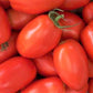 Tomato, Roma - LifeForce Seeds