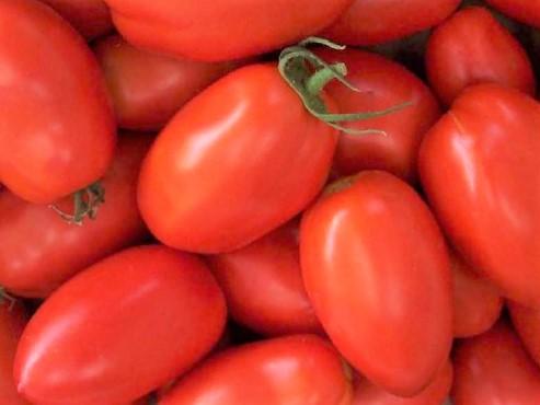 Tomato, Roma - LifeForce Seeds