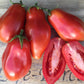 Tomato, San Marzano - LifeForce Seeds