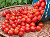 Tomato, Sugar Lump - LifeForce Seeds