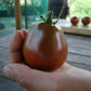 Tomato, Japanese Black Trifele - LifeForce Seeds
