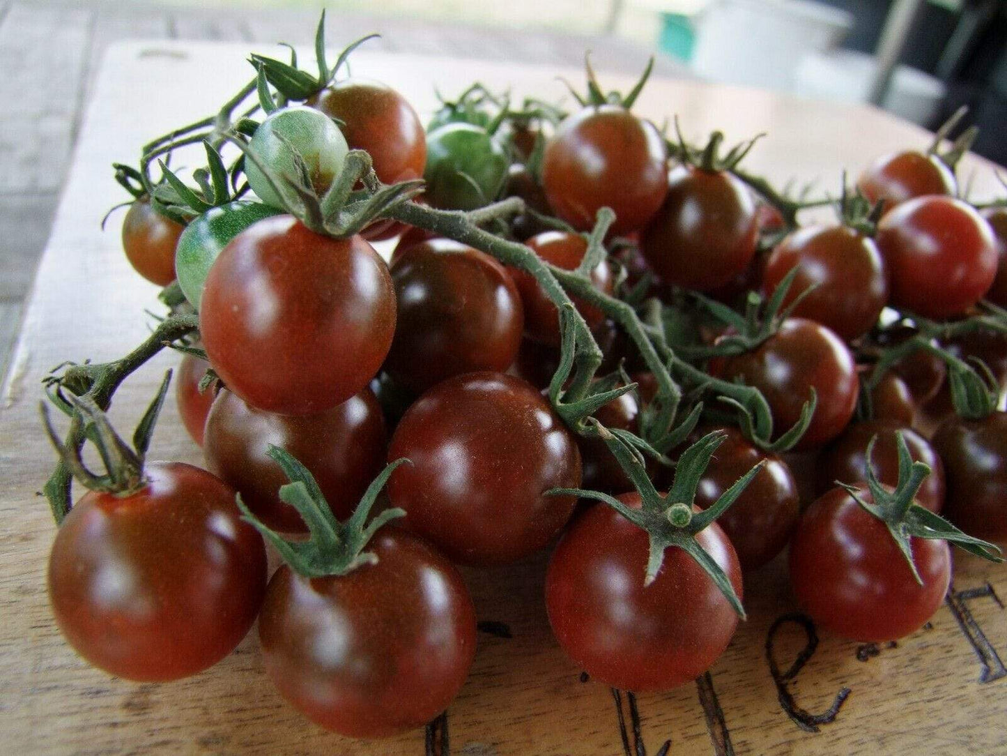 Tomato, Brown Berry - LifeForce Seeds
