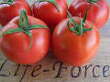 Tomato, Grosse Lisse - LifeForce Seeds