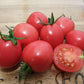 Tomato, Pearly Pink - LifeForce Seeds