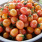 Tomato, Sunrise Bumble Bee - LifeForce Seeds