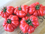 Tomato, Costoluto Genoves - LifeForce Seeds