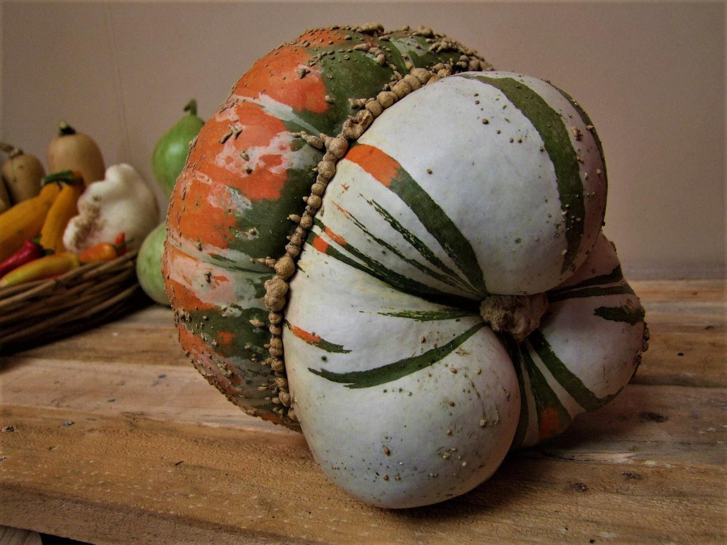 Pumpkin, Turkish Turban - LifeForce Seeds