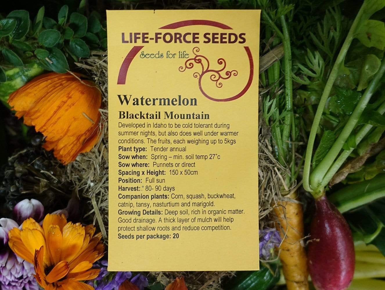 Watermelon, Blacktail Mountain - LifeForce Seeds