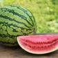 Watermelon, Crimson Sweet - LifeForce Seeds