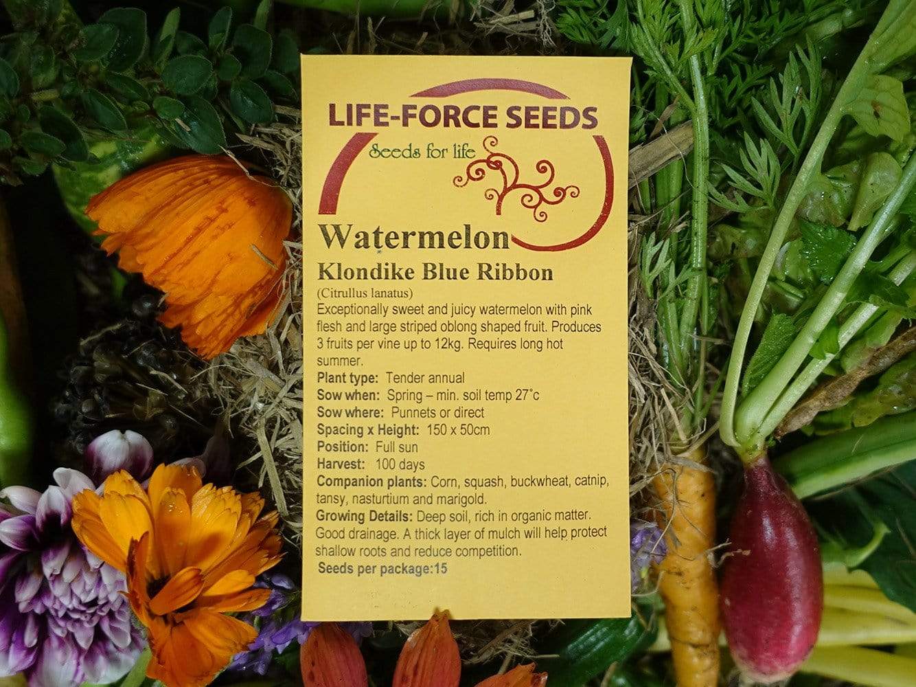 Watermelon, Klondike Blue Ribbon - LifeForce Seeds