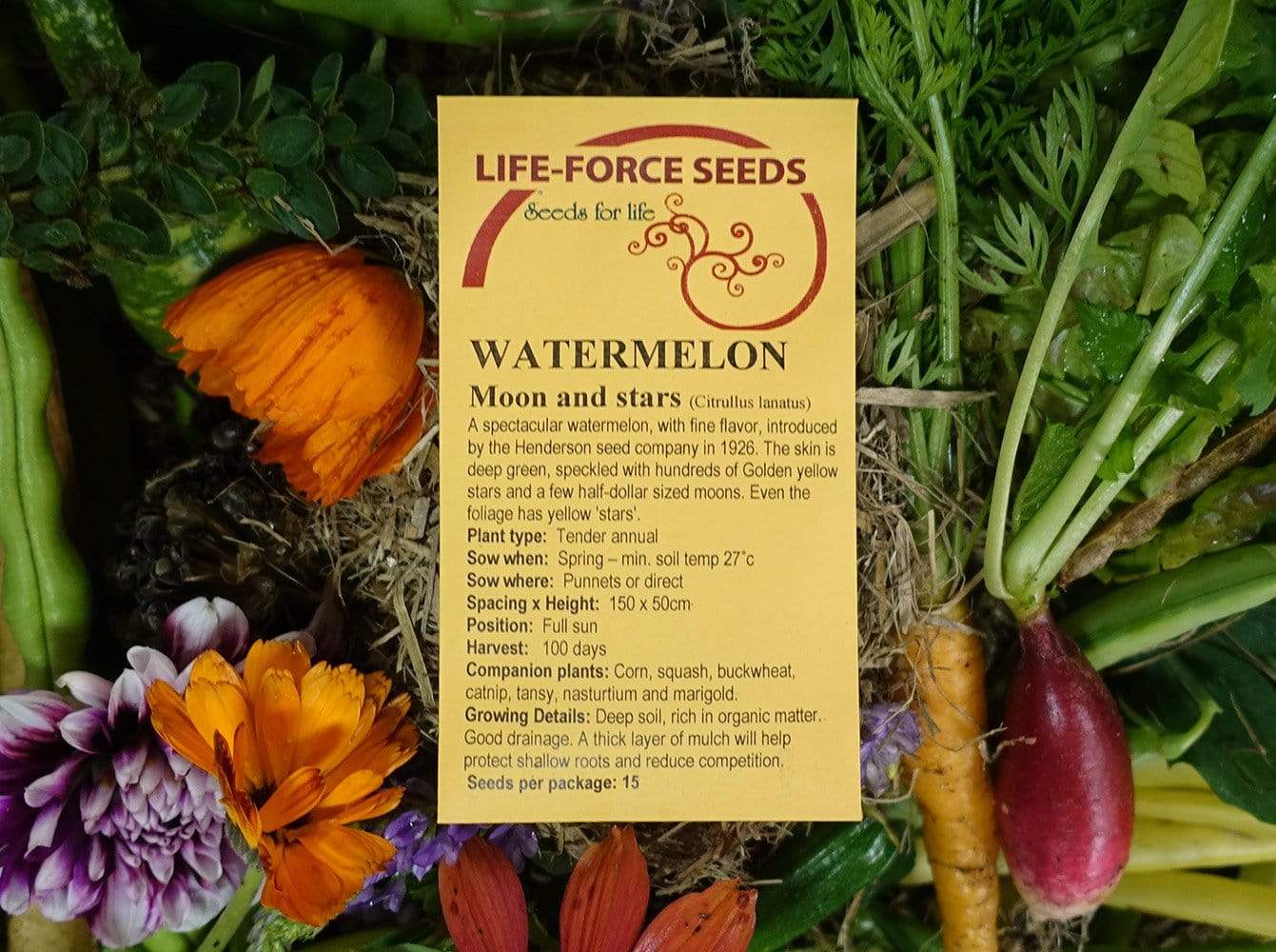 Watermelon, Moon and Stars - LifeForce Seeds