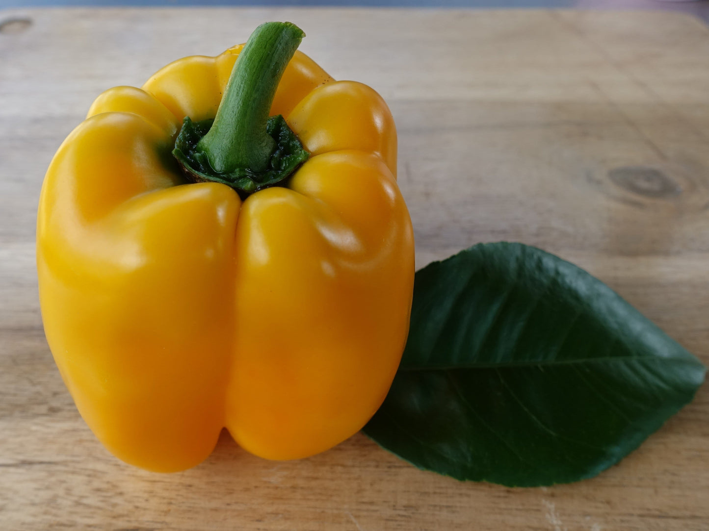 Capsicum Sunbright Yellow Bell - LifeForce Seeds