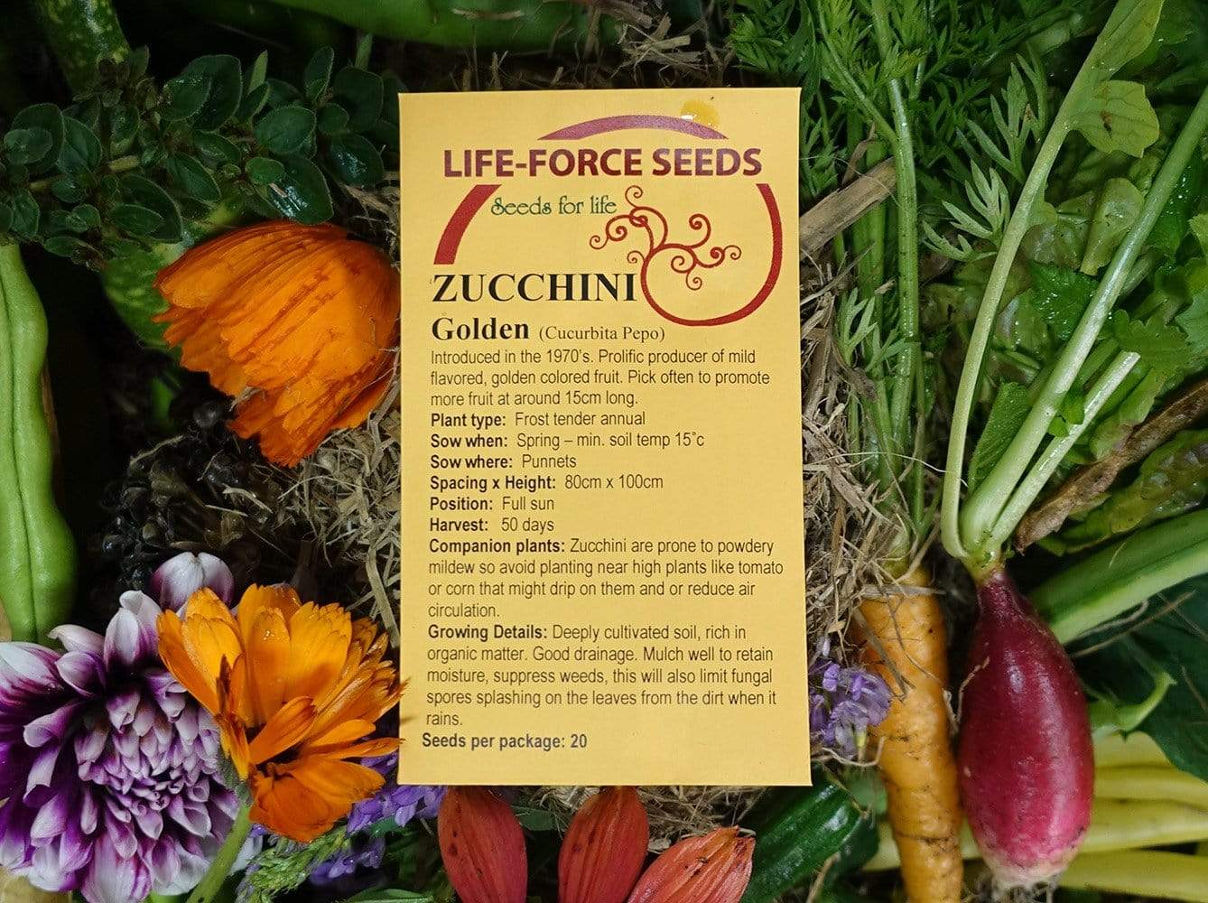 Zucchini, Golden - LifeForce Seeds