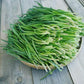 Chive Garlic - LifeForce Seeds